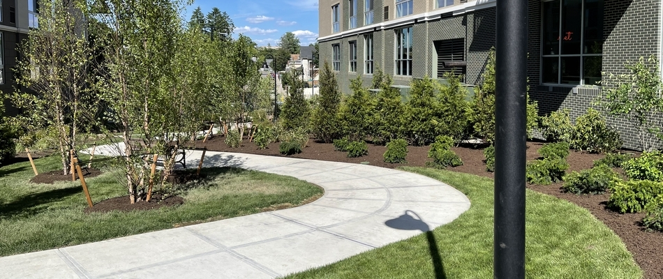 Commercial landscaping and walkway constructed by our team on a property in Harlem, NY.