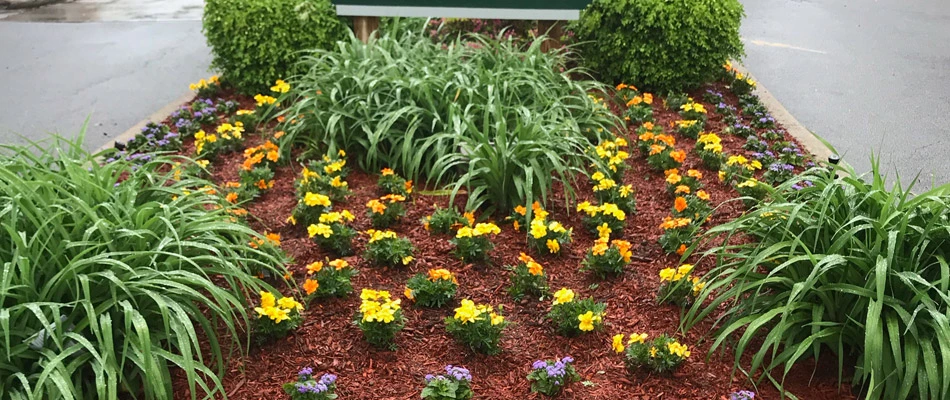 Mulch and plants added to a landscape bed in front of a commercial signage in Manhattan, NY.