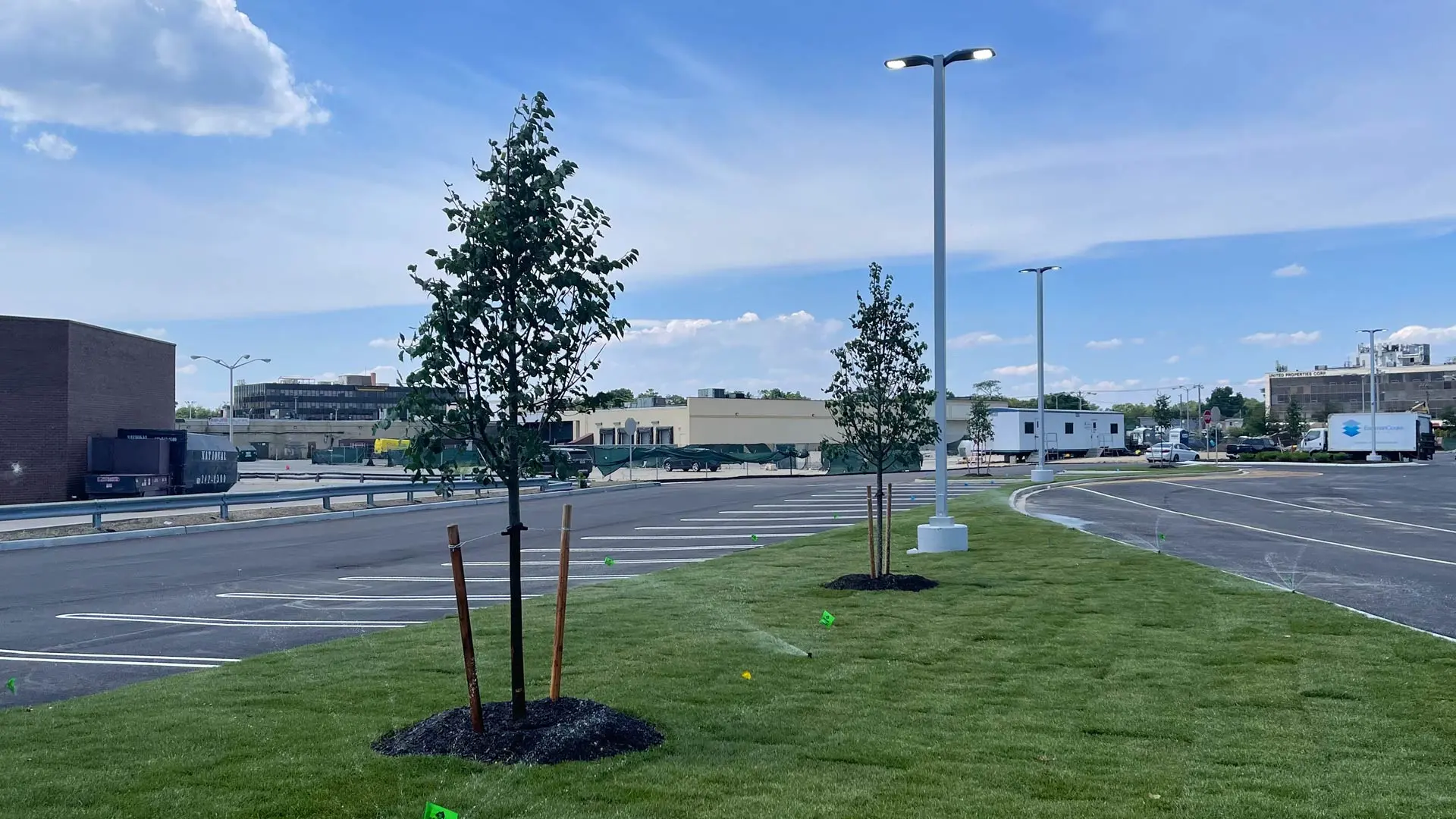 CU-structural soil added to trees in a landscape in Edgewater, NJ.