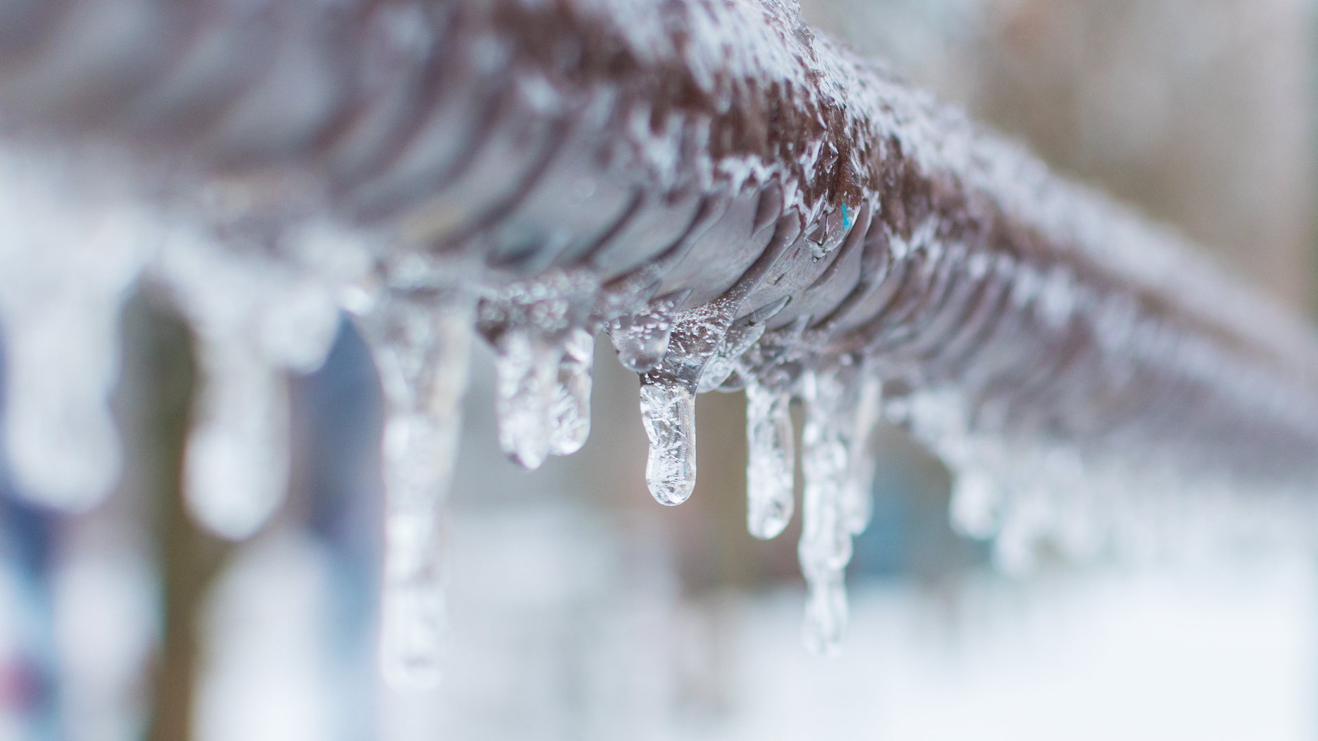 A frozen irrigation pipe on a property in Greenwich, CT.