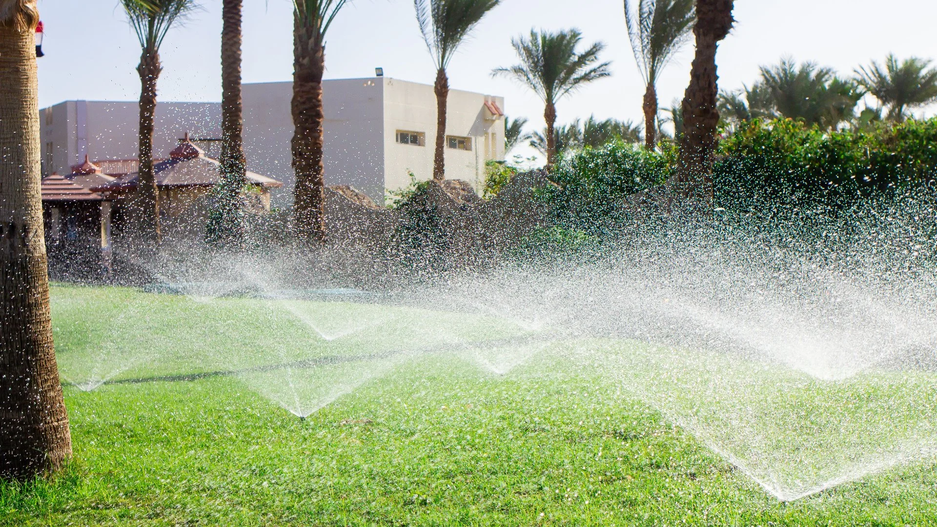 Here’s Why You Shouldn’t Skip Out on Irrigation Maintenance This Summer