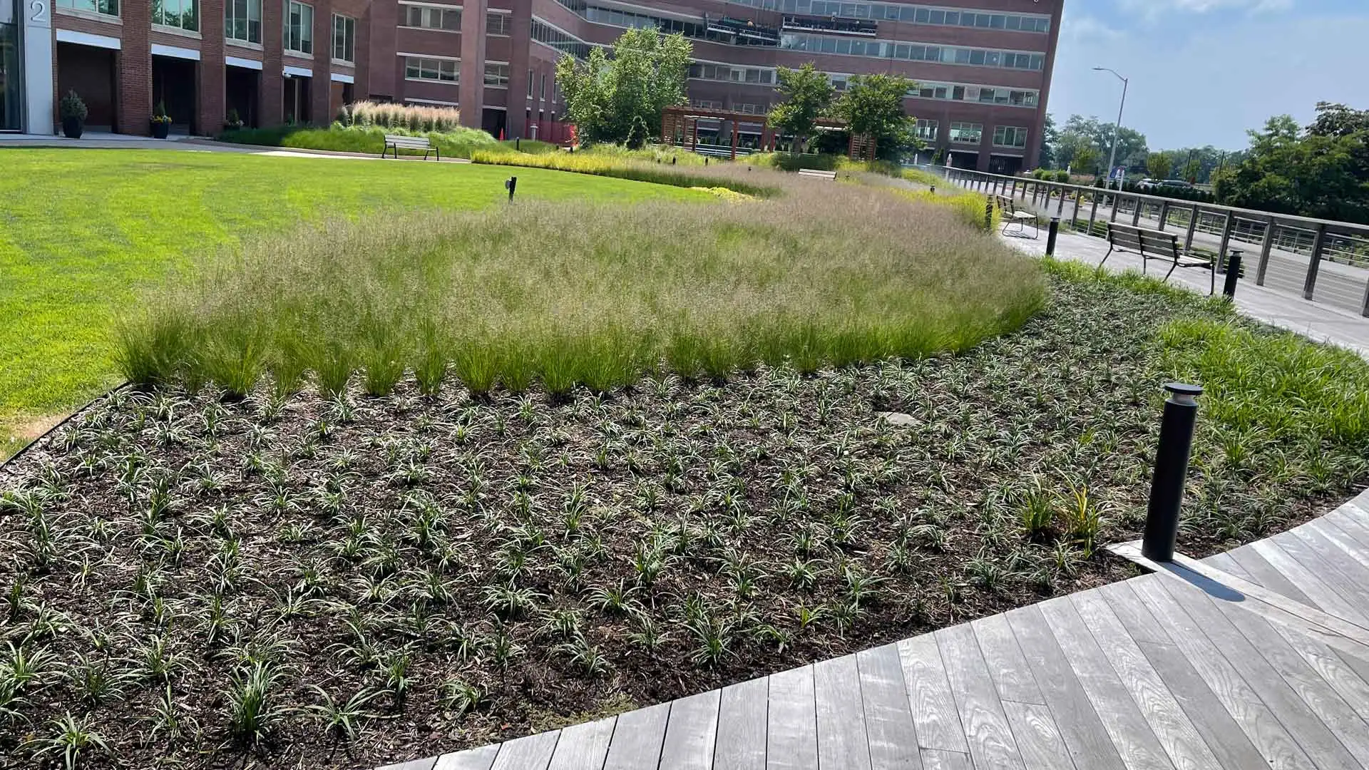 Landscape bed maintained by professionals for a corporate building in Manhattan, NY.
