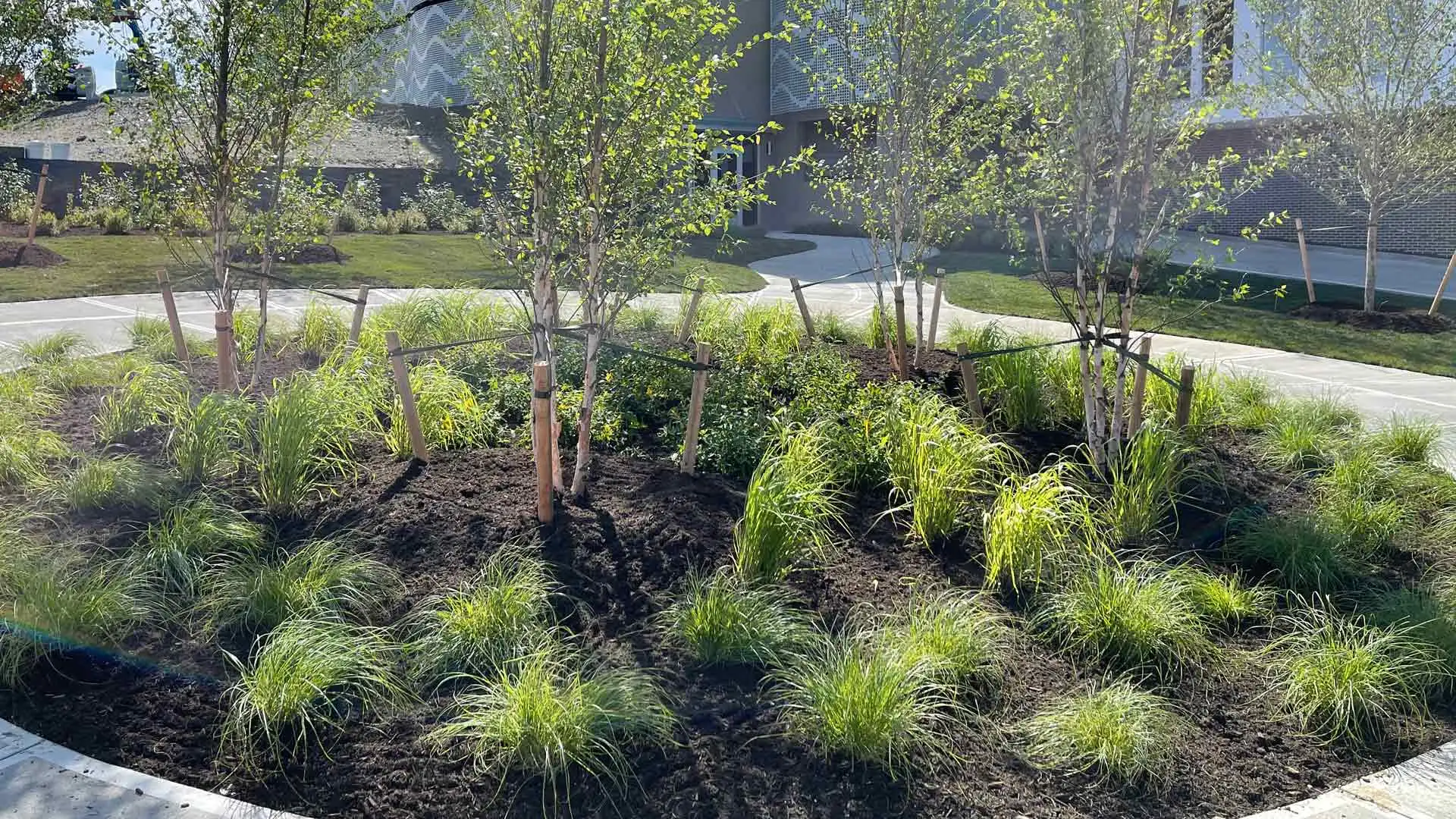 Landscape bed installed for a commercial property in The Bronx, NY.