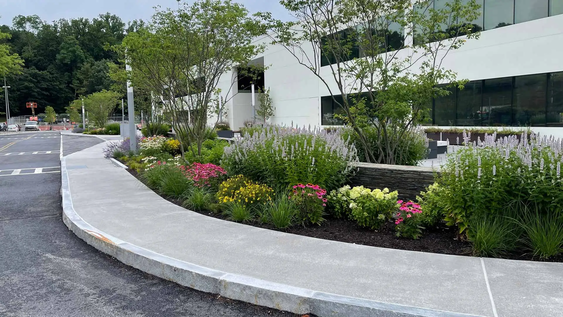Landscape bed installed and maintained by professionals in Edgewater, NJ.
