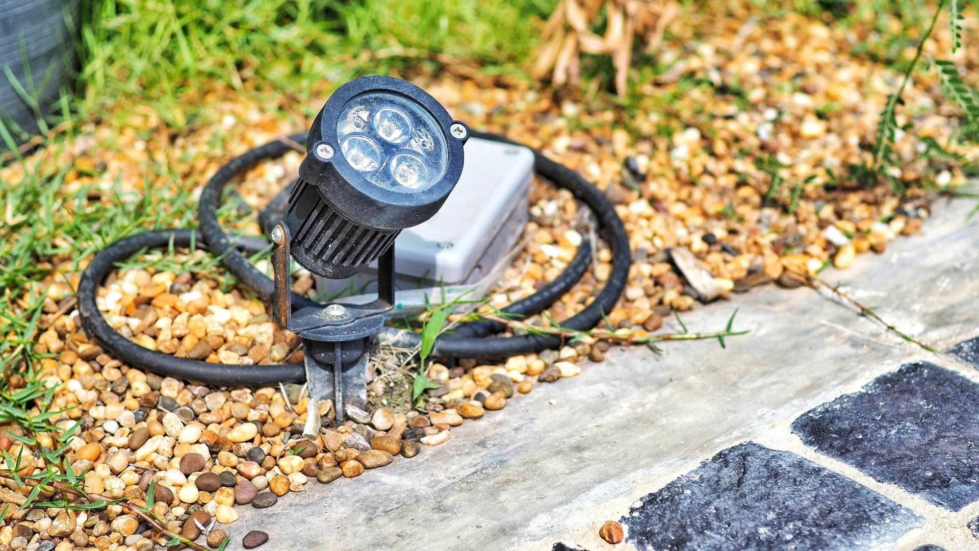 Is Professional Landscape Lighting Worth the Investment?