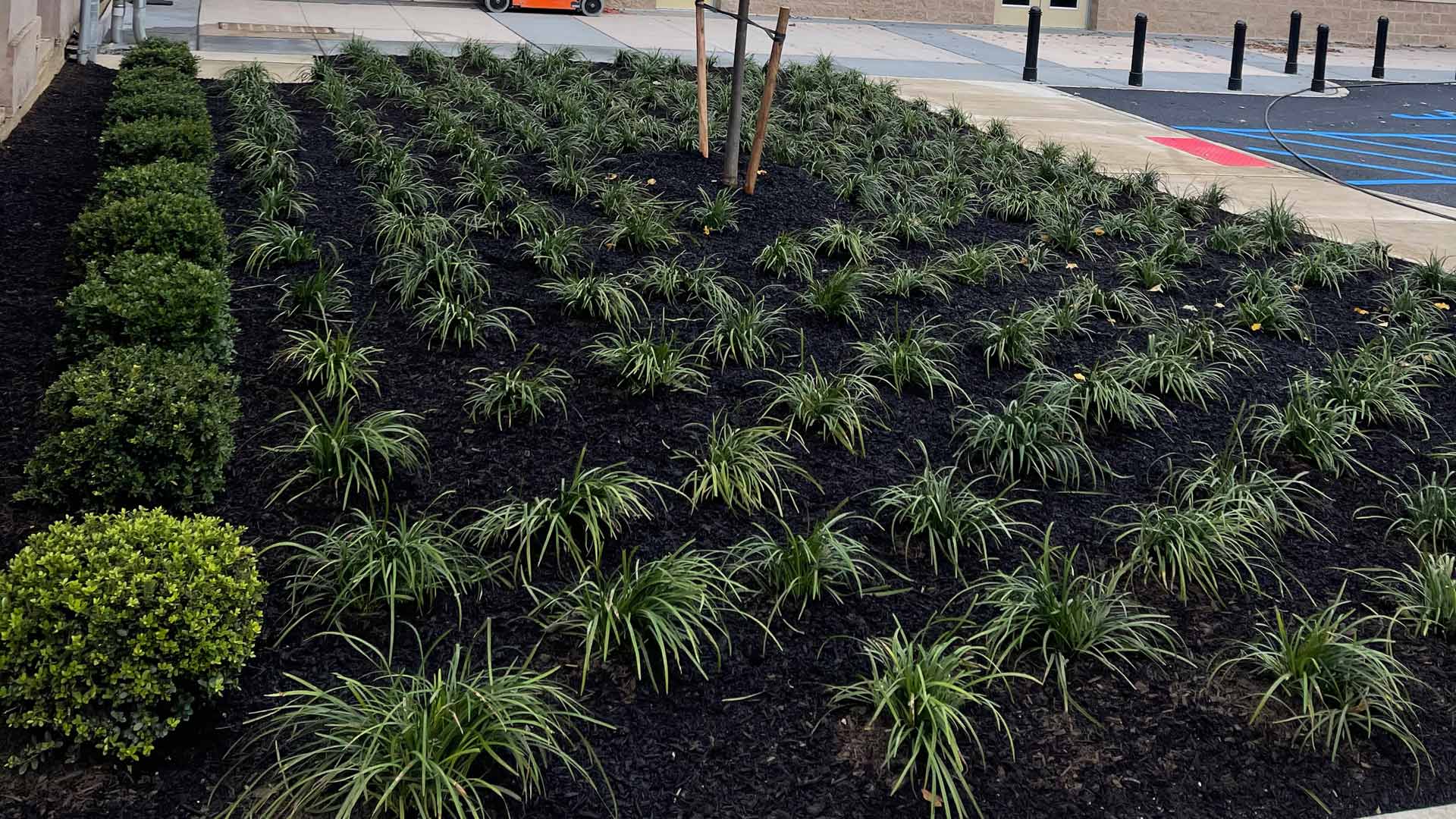 Mulch added to landscape bed in Edgewater, NJ.