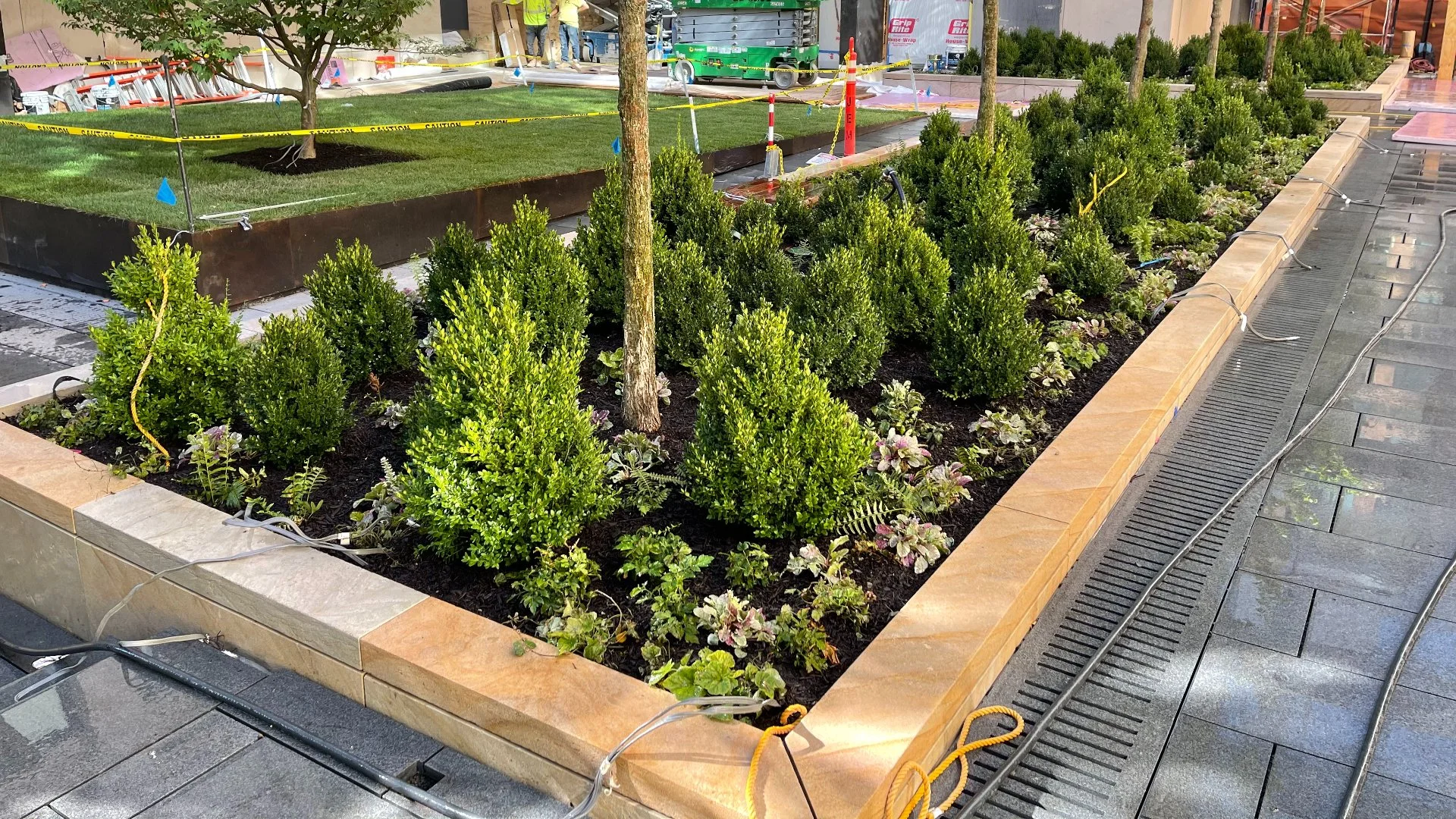 NYC Courtyard Landscaping Project With Plants & New Sod