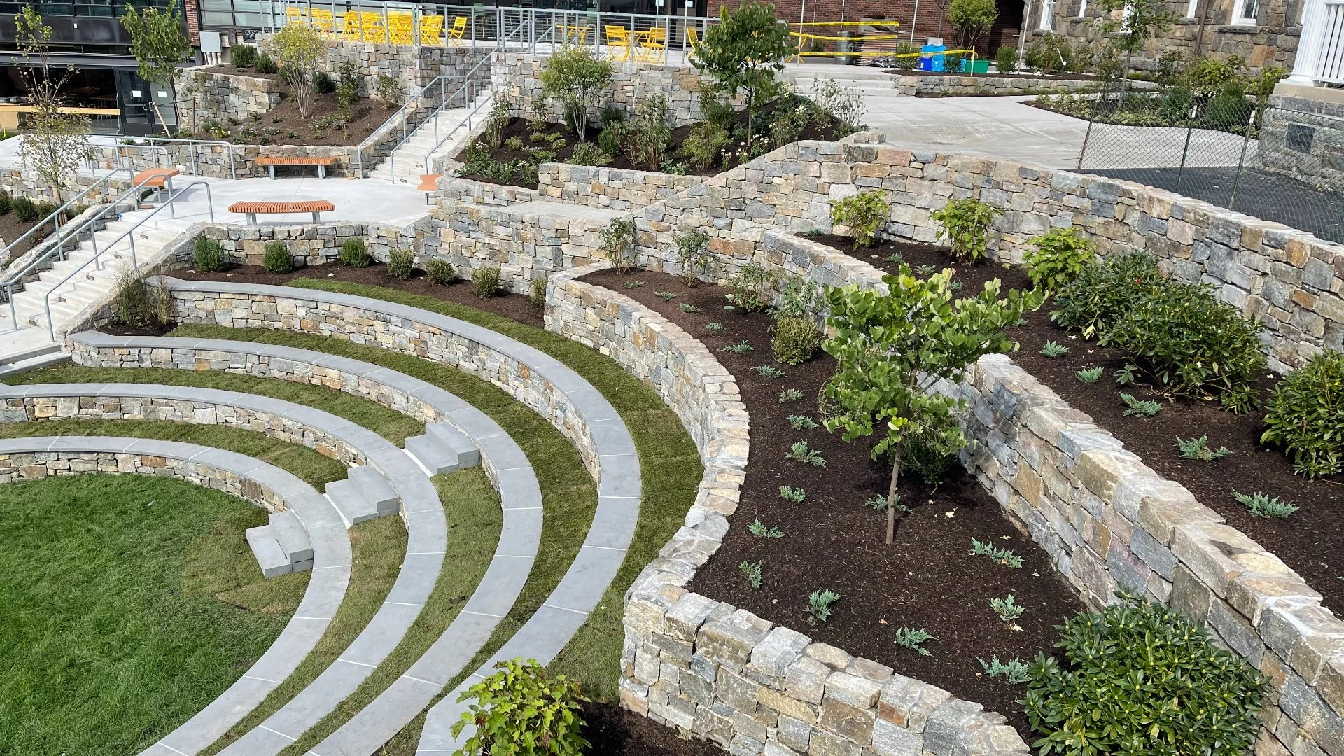 Questions You Should Ask During a Commercial Landscape Design Consultation