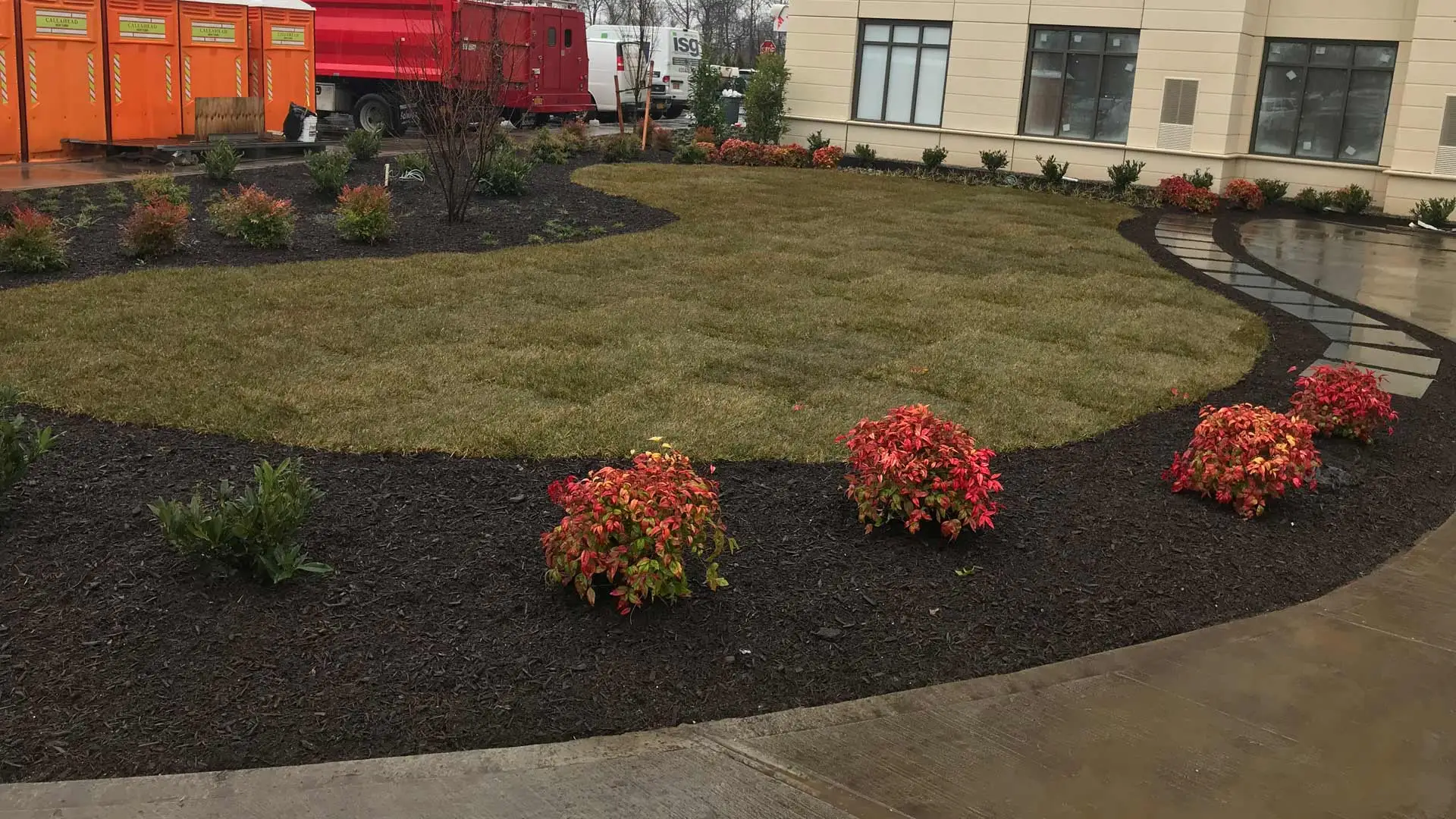 Sod installed for a lawn with landscape bed replenished with mulch in The Bronx, NY.