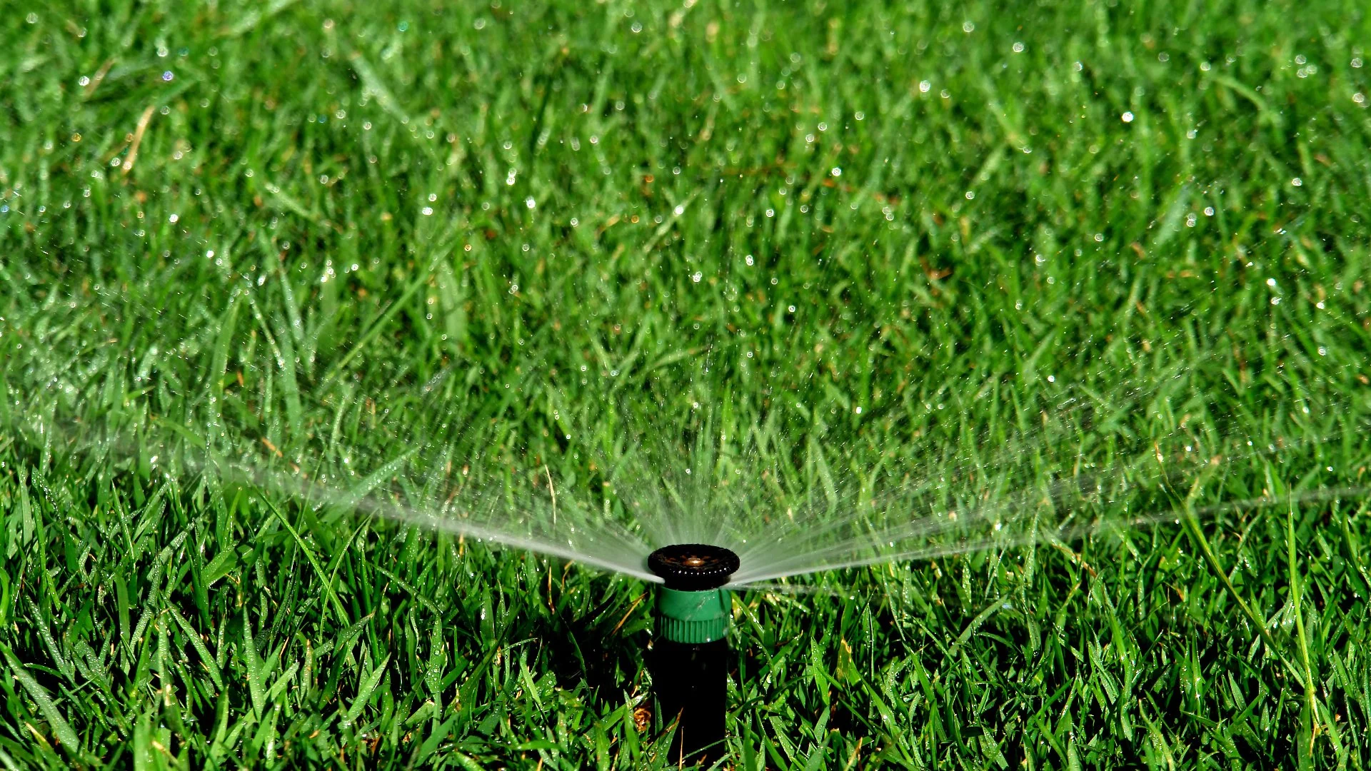Drip Irrigation vs Sprinkler System - Which Is Right for Your Property?