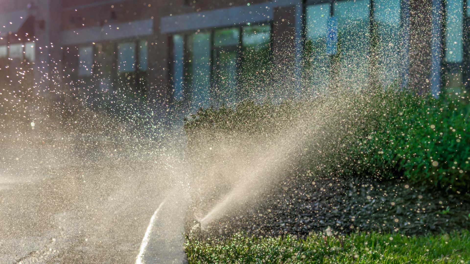 Sprinkler watering a commercial property's lawn in Manhattan, NY.