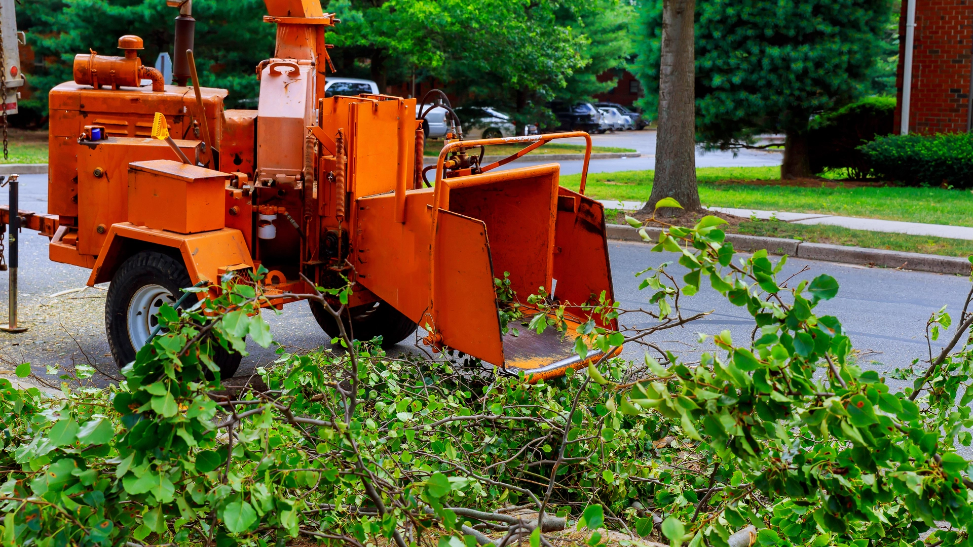 Our tree removal professionals at work on a property in Stamford, CT.