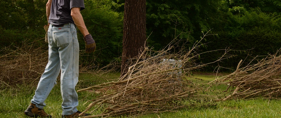 Lawn debris being picked up by a professional in Manhattan, NY.