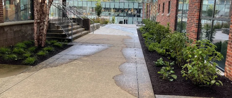 Courtyard in commercial space with recently watered landscape in Fairfield County, CT.