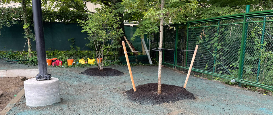 CU structural soil being performed in a landscape in Alpine, NJ.