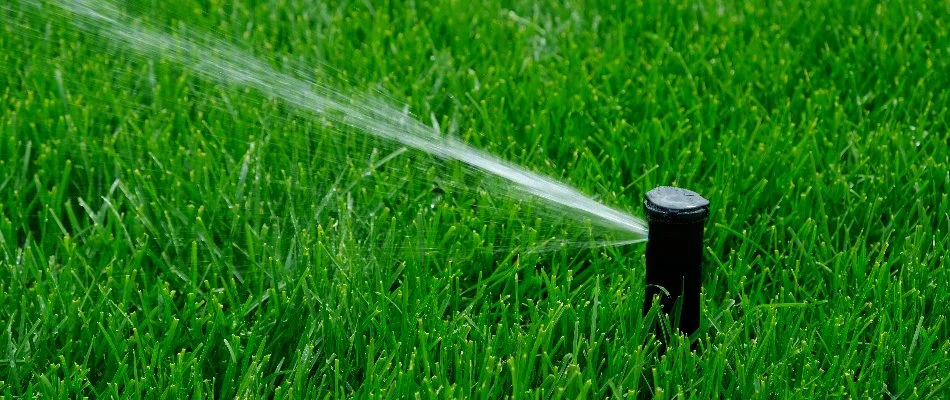Green lawn in Sullivan County, NY, with a sprinkler head spraying water.