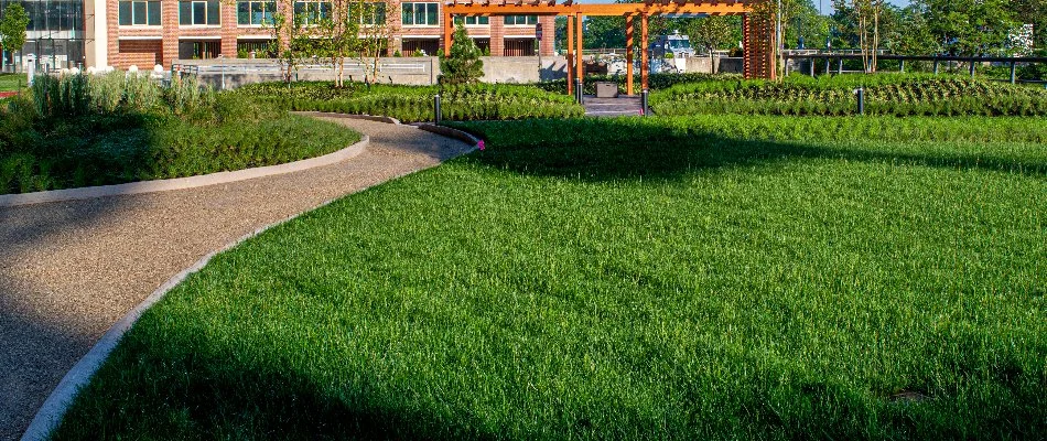 Healthy, green lawn in Alpine, NJ.