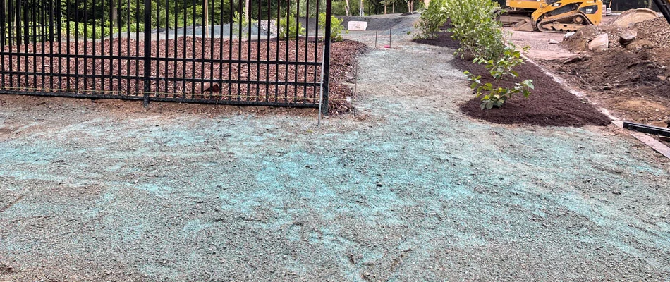 Hydroseeded lawn beside landscape beds in The Bronx, NY.