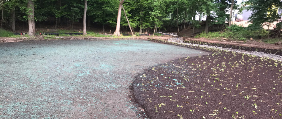 Hydroseeded area of a landscape in Edgewater, NJ.