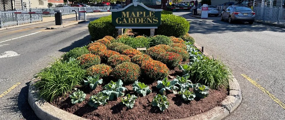 A landscape bed with plants and shrubs on a commercial property in New Rochelle, NY.
