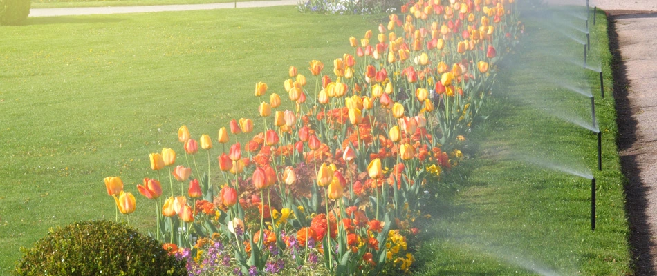 Landscape bed in The Bronx, NY being watered by sprinklers.