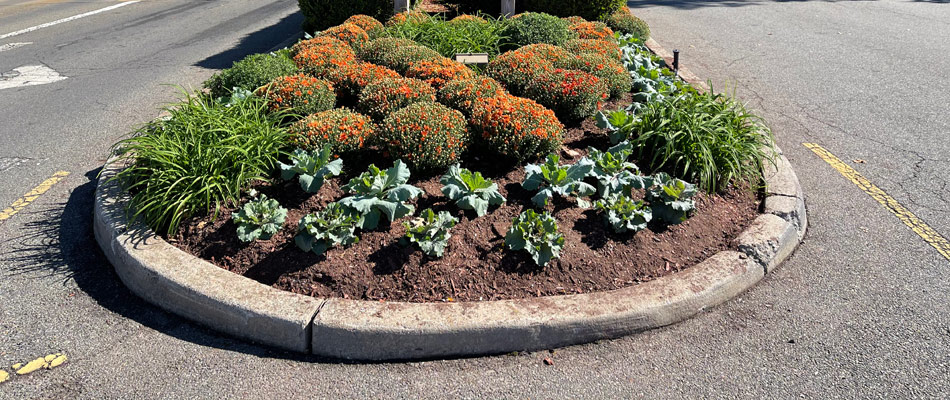 Signage for a business with landscape bed installed in Manhattan, NY.
