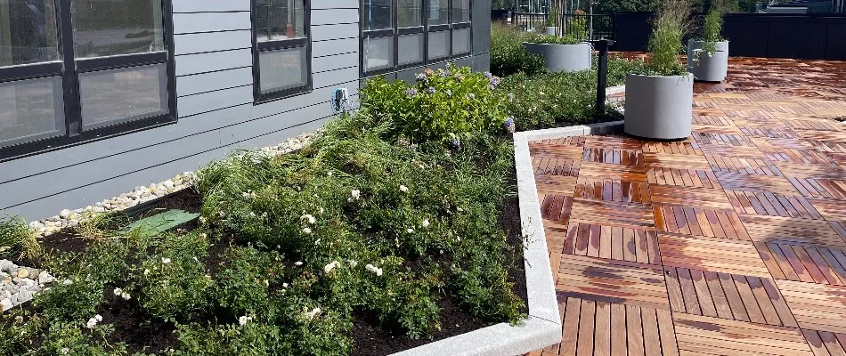 Landscape bed in Hudson County, NJ, with mulch, shrubs, and decorative edging.
