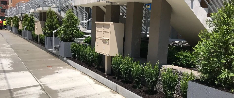 HOA landscaping for property in Bergen County, NJ.
