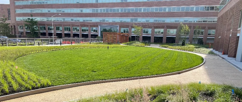 Commercial lawn in Fairfield County, CT.
