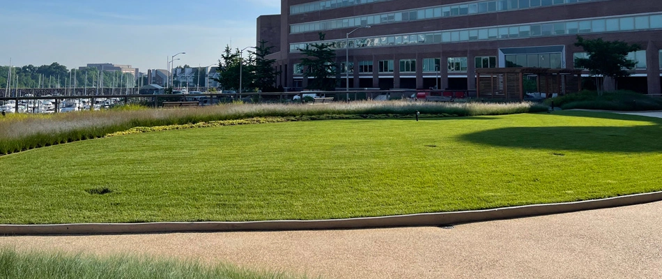 Mowed lawn for a corporate building in Alpine, NJ.