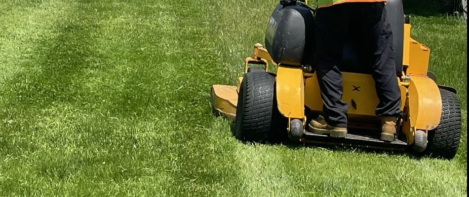 A lawn care professional mowing a lawn with a commercial lawn mower in New Rochelle, NY.