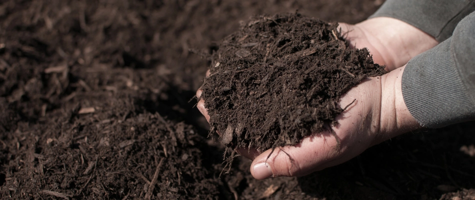 A hand handling mulch in Edgewater, NJ.