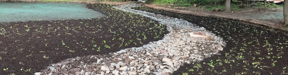 Landscape with hydroseeding, plantings, and rock services performed in Alpine, NJ.