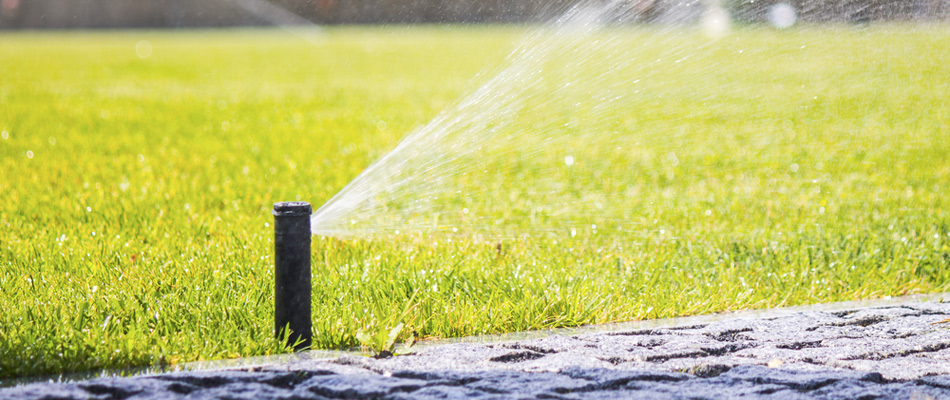 Sprinkler watering lawn in Allendale, NJ.