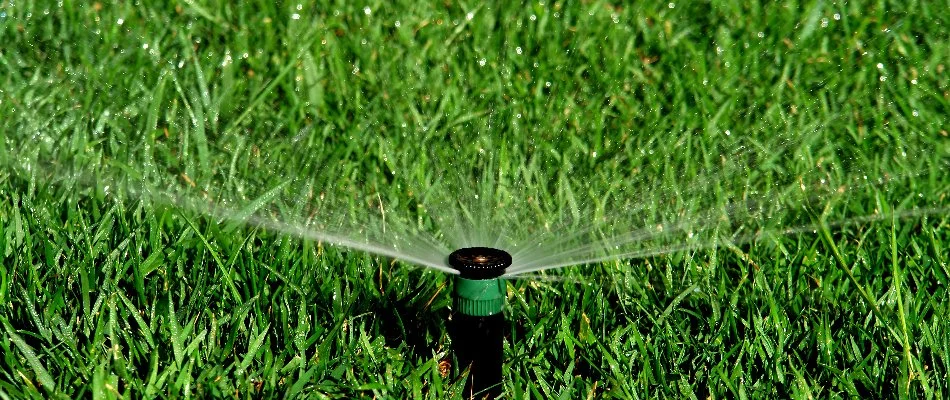 Sprinkler irrigation head watering green grass in Hudson County, NJ.