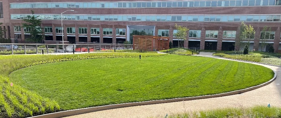 Thick, green lawn on a commercial property in Hudson County, NJ.