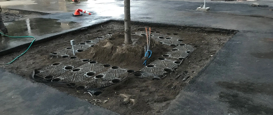 A tree being installed in a silva cell for sidewalk in Alpine, NJ.