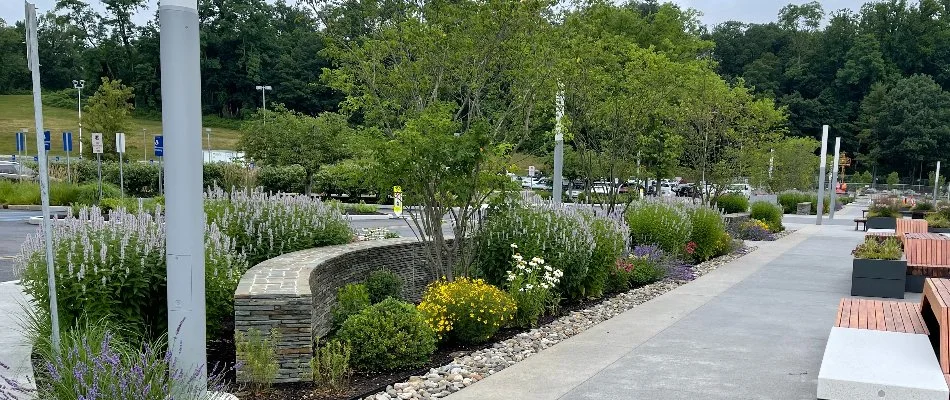 Trees and shrubs along a walkway in Hudson County, NJ.