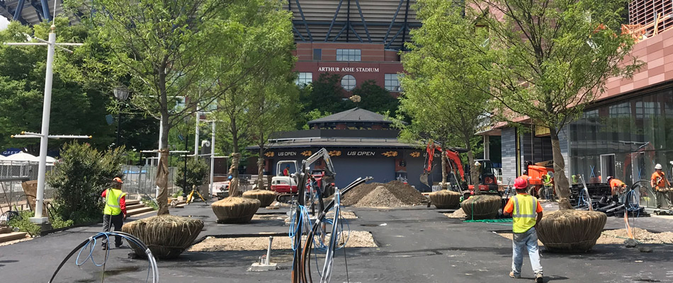 Trees being installed in silva cells that have been installed throughout pavement in The Bronx, NY.