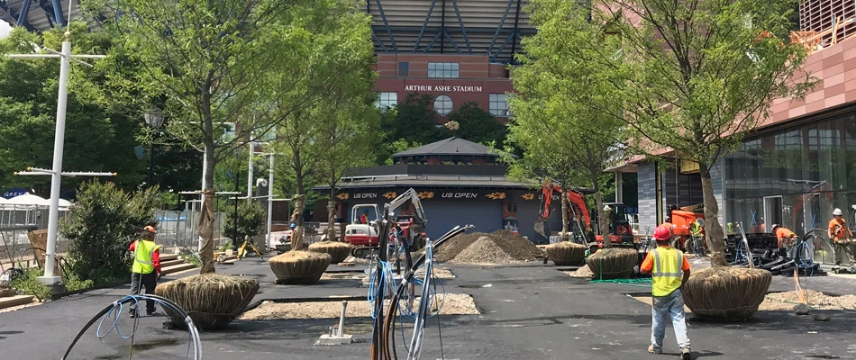 Trees being installed in silva cells that have been installed throughout pavement in The Bronx, NY.