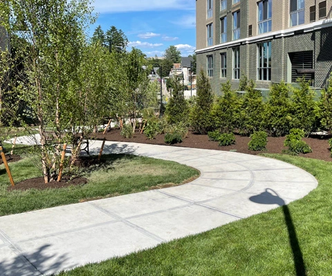 Condo landscape maintained in New Jersey.