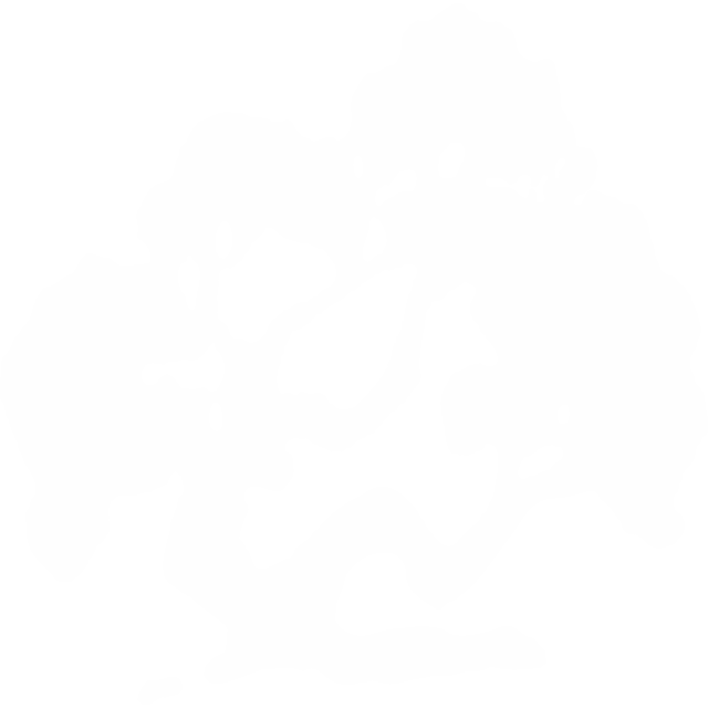 Ascape Landscape